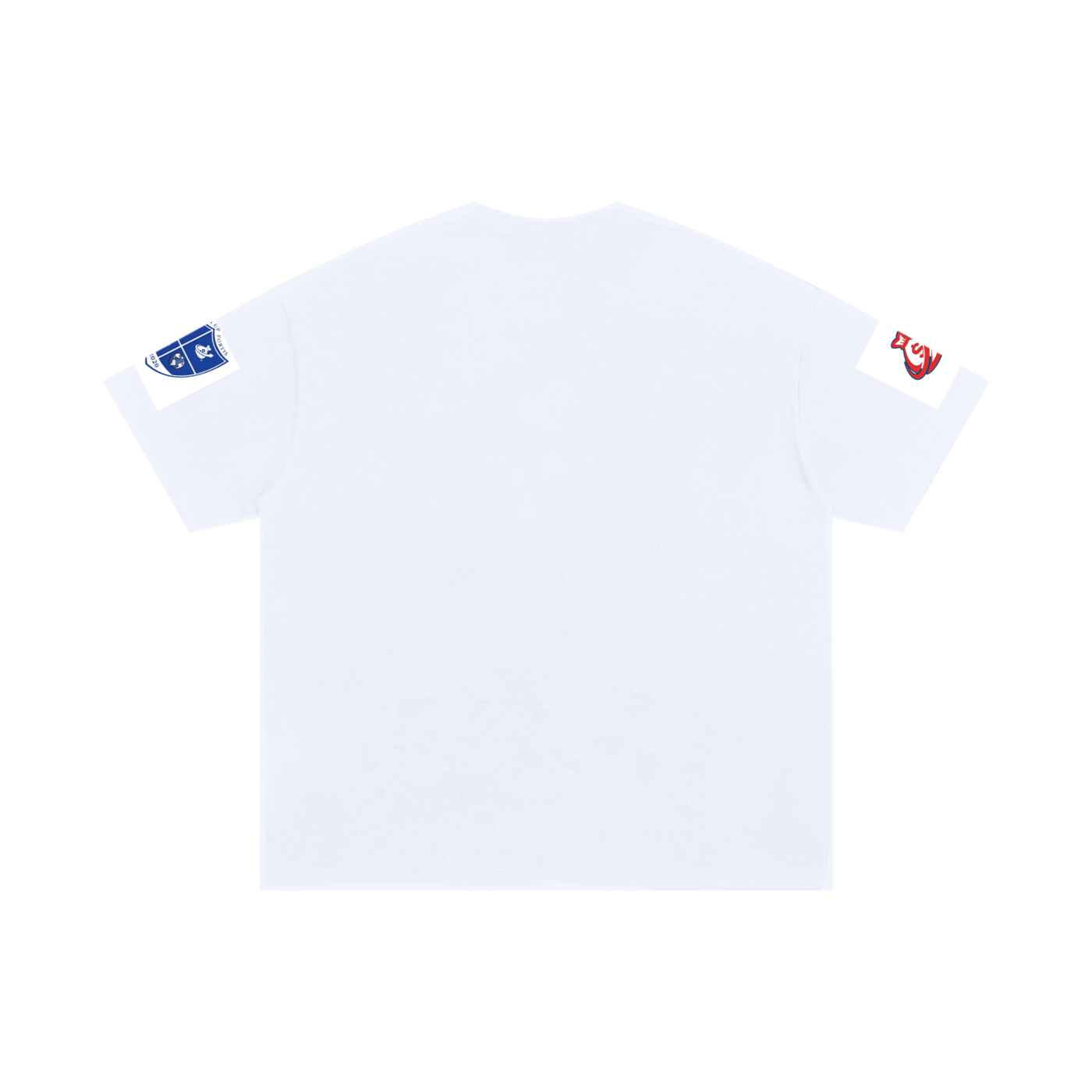 Motion Detected Unisex Oversized Cotton T-Shirt