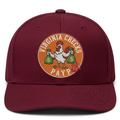 Virginia SnapBack